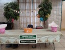 img 20250405