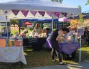 img 20250405