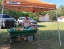 img 20250405