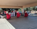 img 20241207