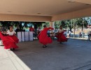img 20241207