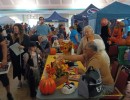 img 20241026