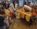 img 20241026