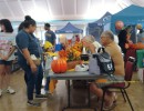 img 20241026