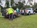 img 20240622