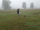 img 20240420