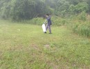 img 20240420