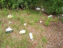 img 20240420
