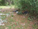 img 20240420