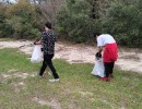 img 20240316