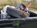 img 20240316