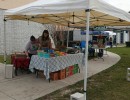 img 20240302