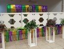 img 20250314