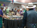 img 20250314